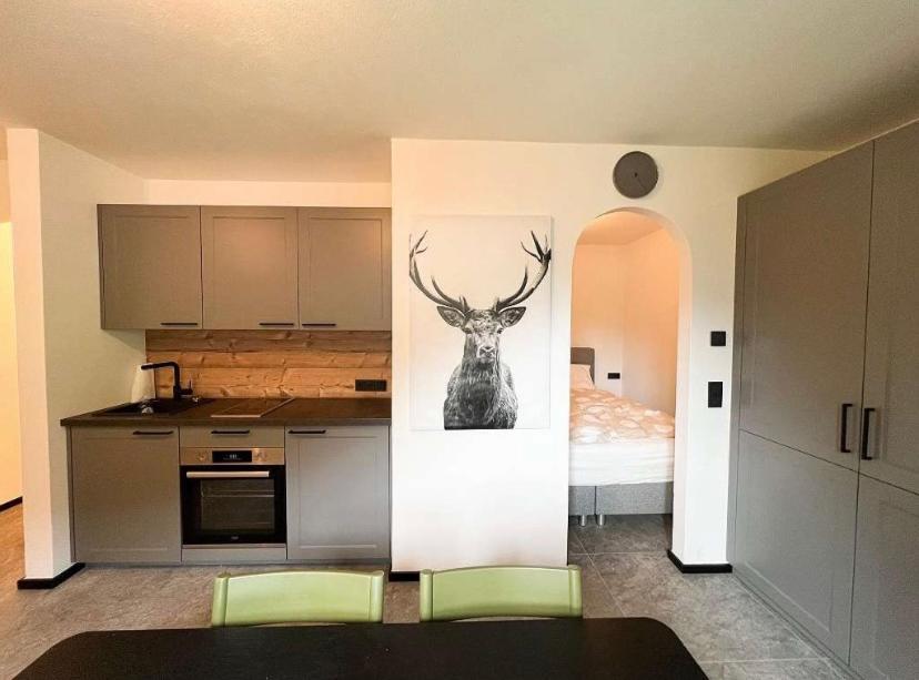 Hirscherl - Mountain Design Apartmán Bad Kleinkirchheim
